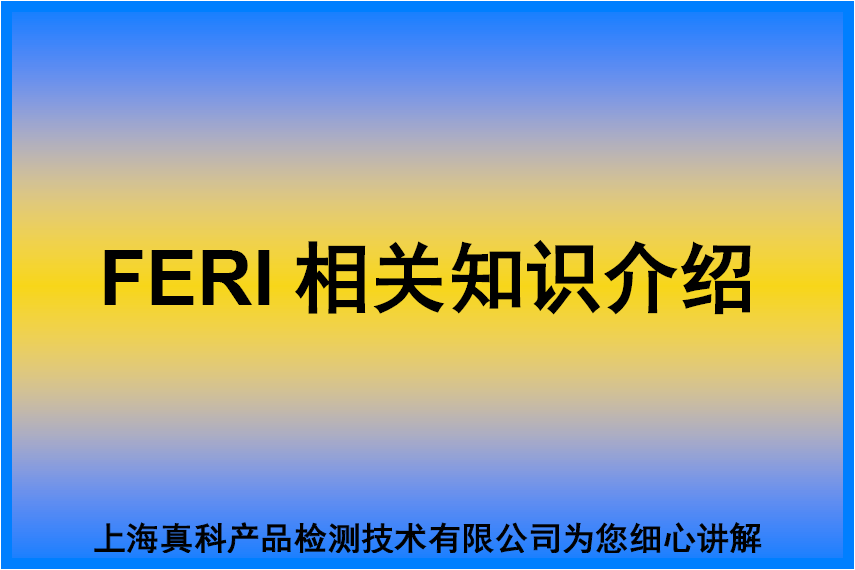 刚果金FERI怎么申请